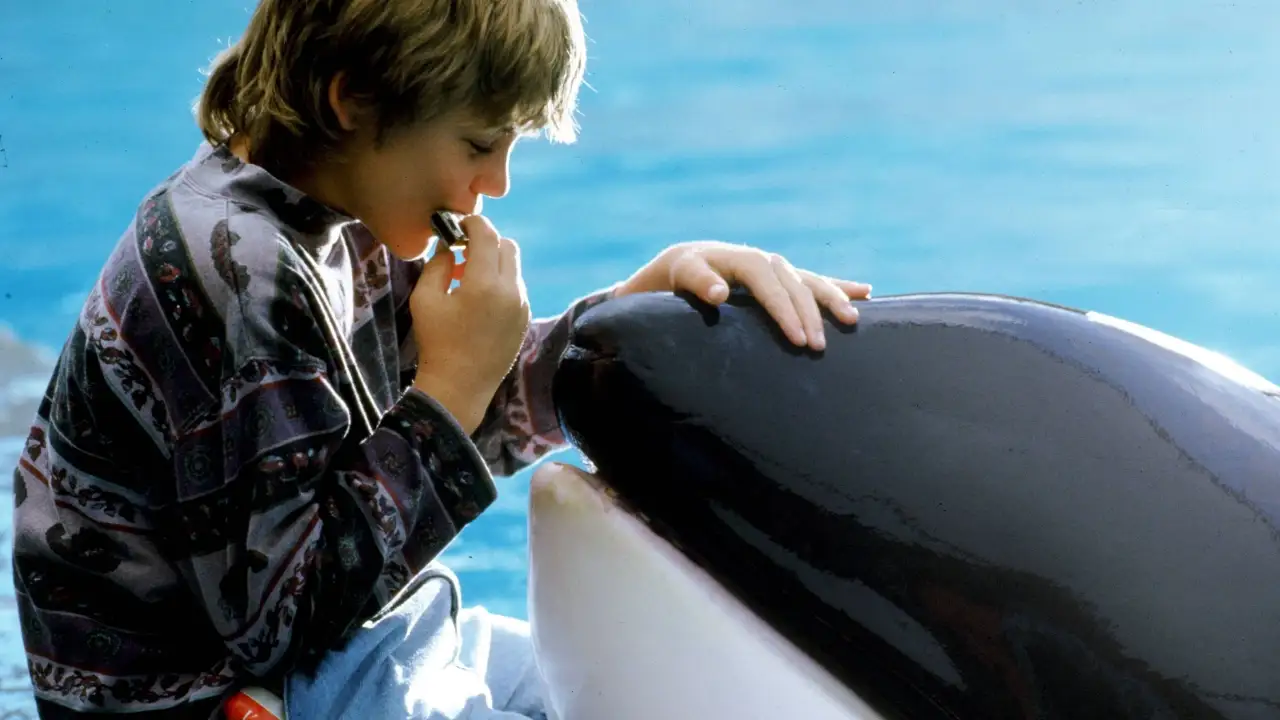 Free Willy (1993) ฟรี วิลลี่ เพื่อเพื่อนด้วยหัวใจอันยิ่งใหญ่