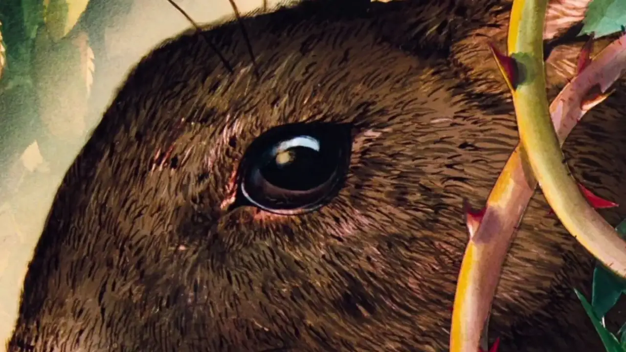 Watership Down (1978)