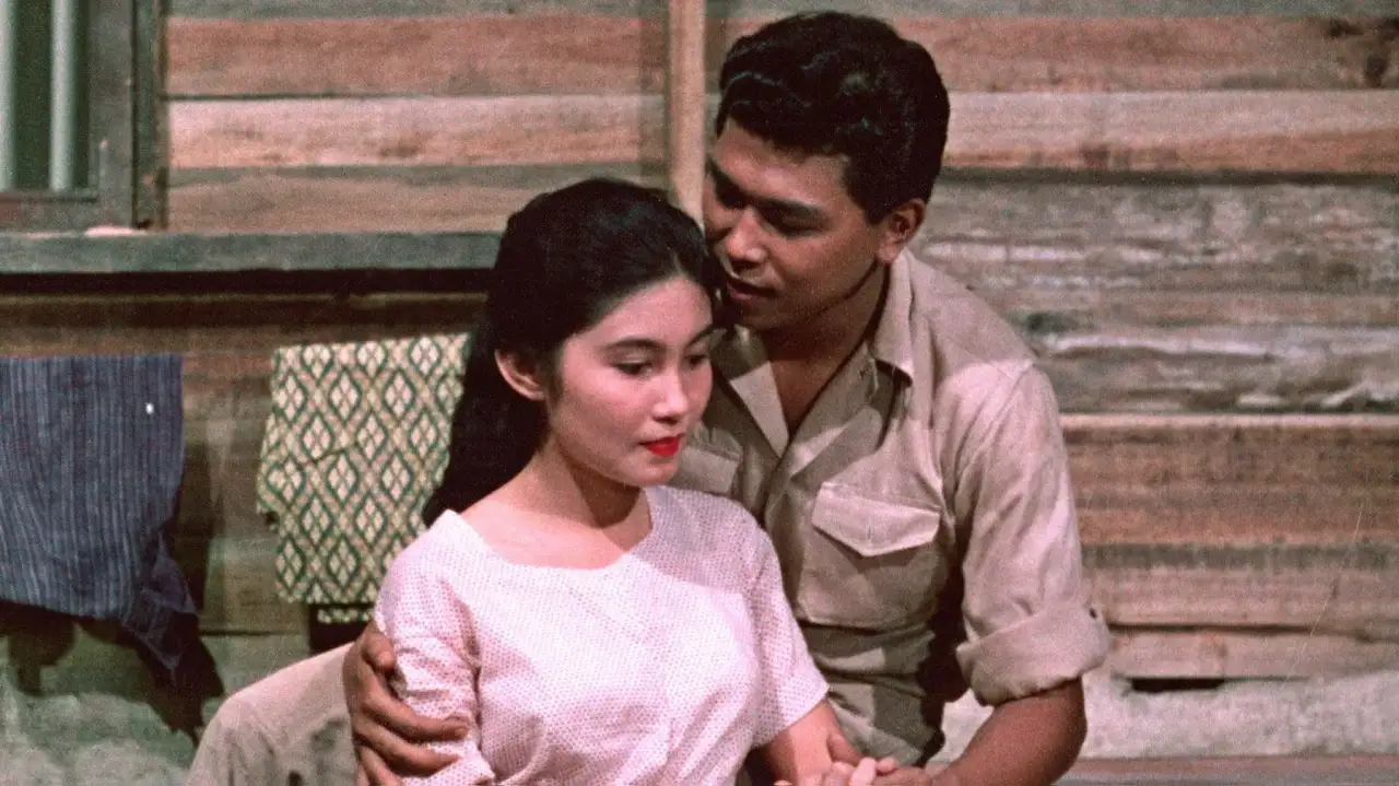 สวรรค์มืด (1958)