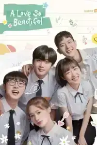 A Love So Beautiful (2020) EP.1-24 (จบ)