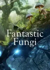 Fantastic Fungi (2019) เห็ดมหัศจรรย์