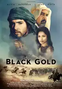 Black Gold (2011) แบล็ค โกลด์ ล่าขุมทองดับตะวัน