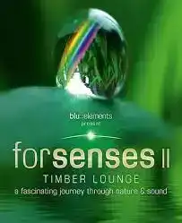 Forsenses II Timber Lounge (2011)