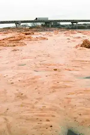 I Am What I Am (2021)