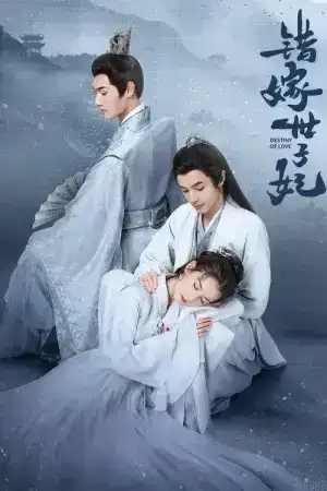 Destiny of Love (2025) รักสลับบัลลังก์ EP.1-24 (จบ)