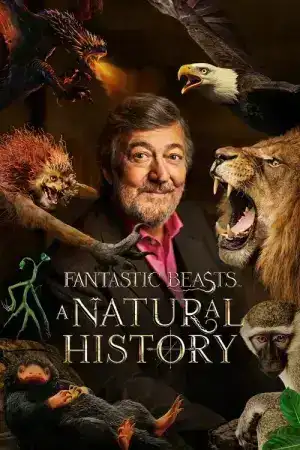 Fantastic Beasts A Natural History (2022)