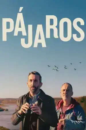 Birds Flying East (2024)