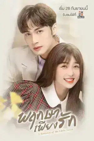 A Romance of The Little Forest (2022) พฤกษาเพียงรัก EP.1-35 (จบ)