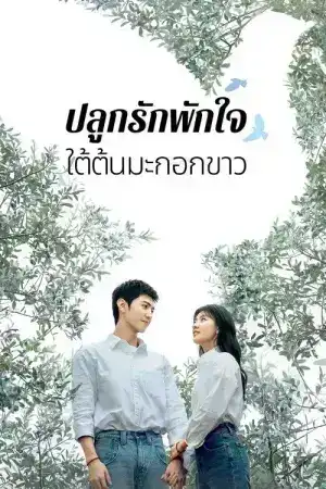 The White Olive Tree (2025) ปลูกรักพักใจ ใต้ต้นมะกอกขาว EP.1-38 (จบ)