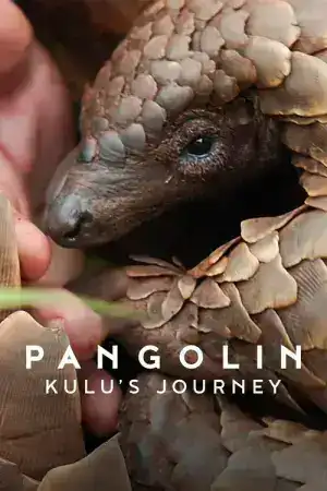 Pangolin Kulu s Journey (2025) การเดินทางของคูลู