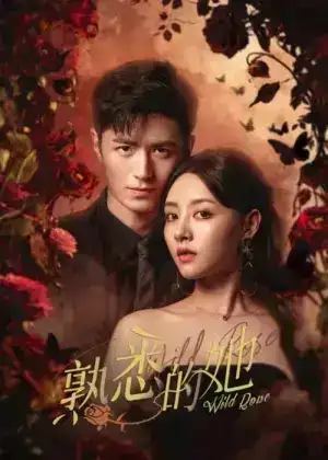 Wild Rose (2025) ทวงแค้นได้รัก EP.1-24 (จบ)