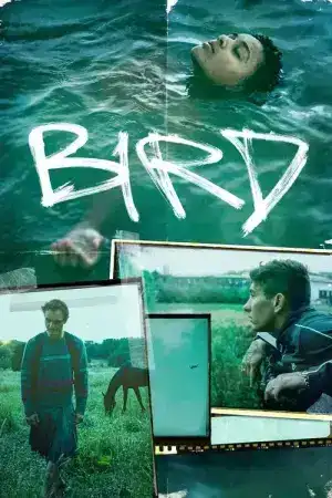 Bird (2024) เบิร์ด