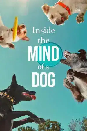 Inside the Mind of a Dog (2024) อ่านใจสุนัข