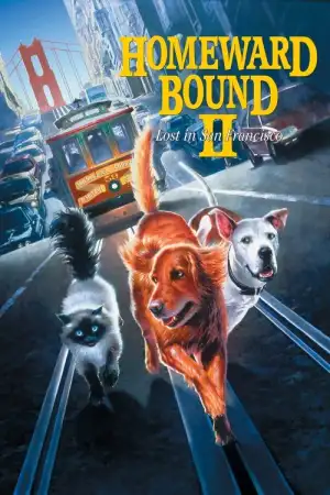 Homeward Bound II- Lost in San Francisco (1996) 2 หมา 1 แมว หายไปในซานฟรานซิสโก
