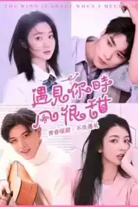 The Wind Is Sweet When I Met You (2021)