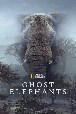 Ghost Elephants (2026)